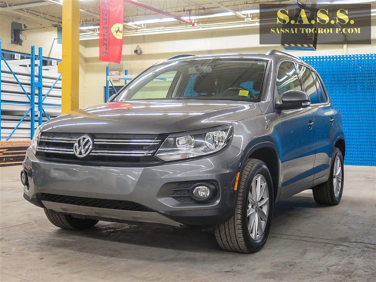 2015 Volkswagen Tiguan S